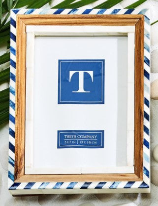 Blue & White Bone Frame