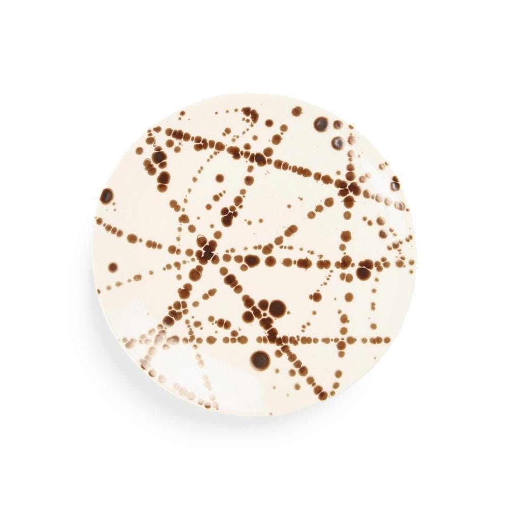 Blue Pheasant Delaney Dinnerware (Pack of 4) - Bronze Splatter Decor