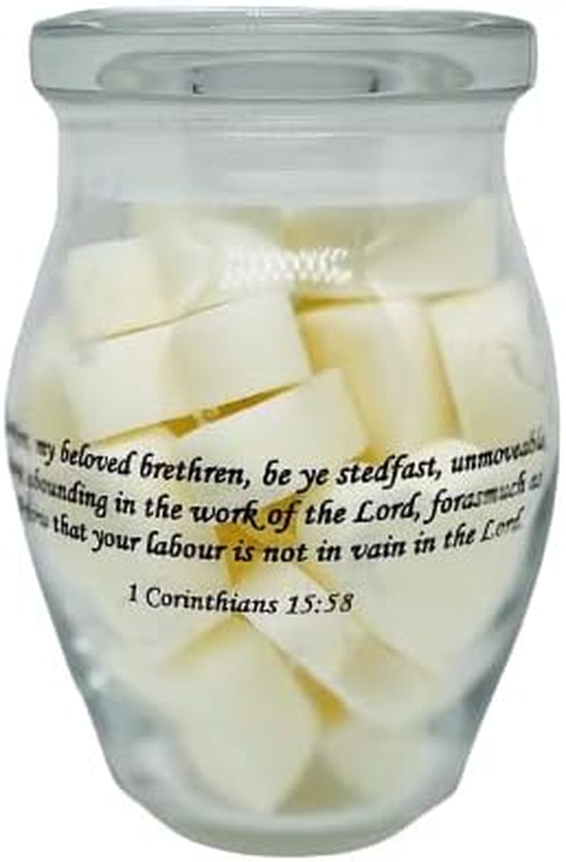 Bless-Scent Candle Company/Wax Melts/Wax Tarts/Wax Cubes/Scriptured Keepsake Jar/5.7 Oz Wax Melts/Amazing Grace Home & Garden > Decor > Home Fragrances > Wax Tarts Bless-Scent Candle Company Cucumber Agave and Sea Salt