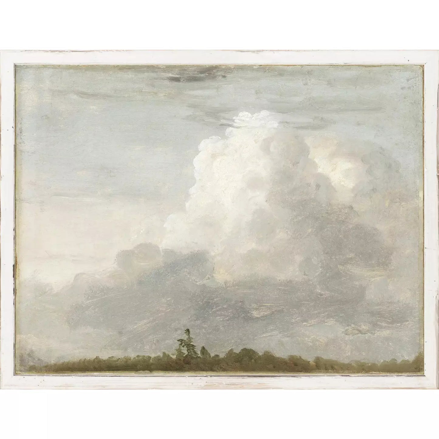 Wispy Green Petite Canvas