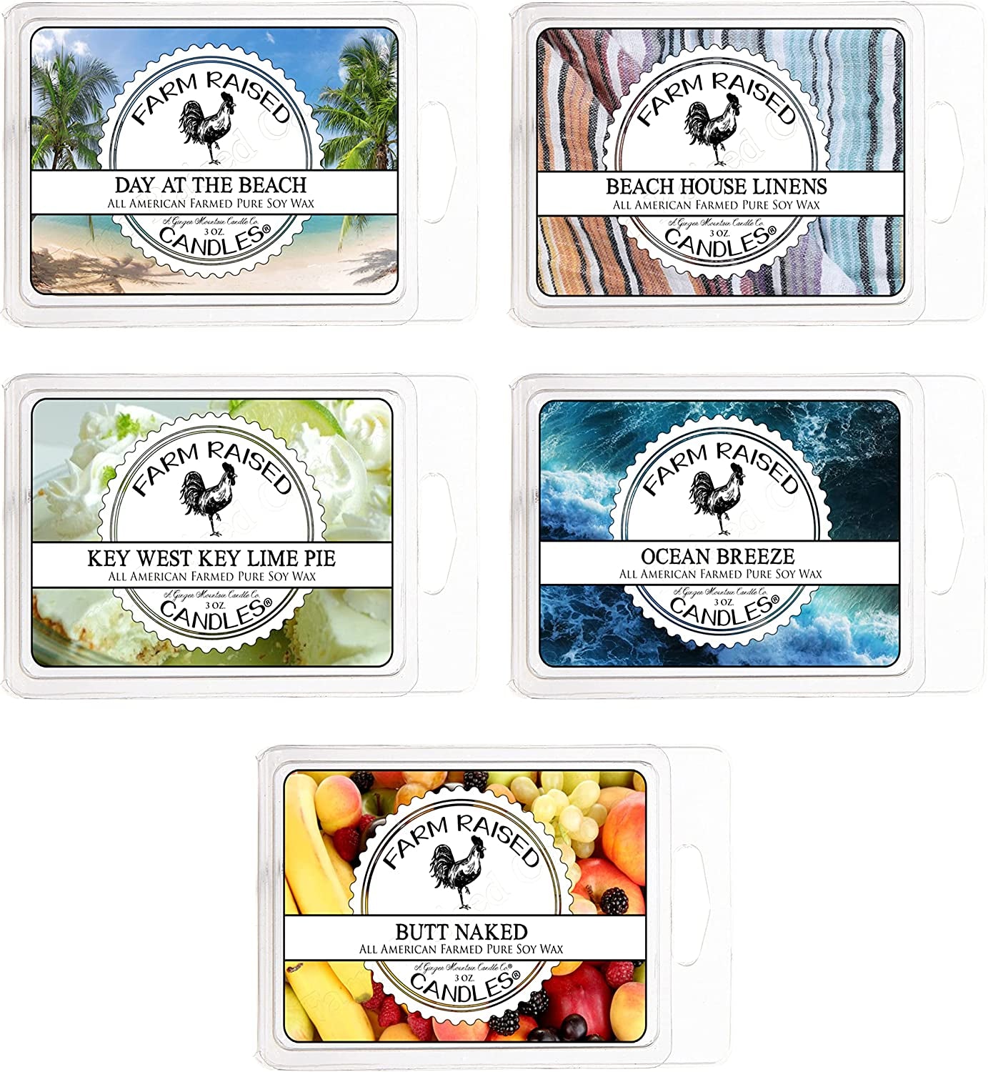 Summer Beach Pack - Farm Raised Candles - Assorted Variety 5 Pack - 30 Wax Cubes - 100% Plant Based Soy Wax Melts - Wax Warmer for Scented Wax Blended Essential Oils. Wax Melts Warmer