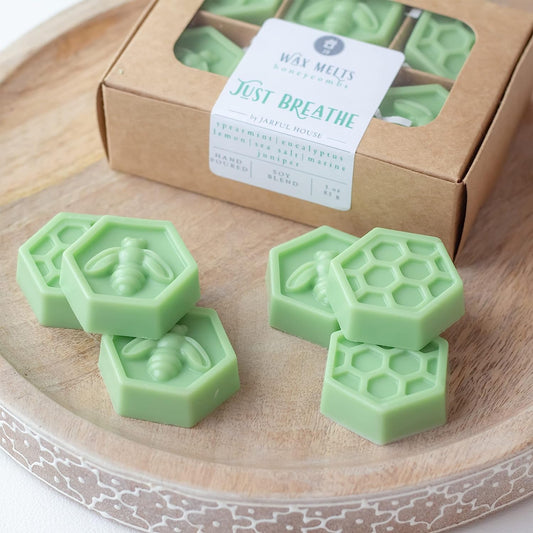Aromatherapy Gift Eucalyptus Spearmint Wax Melts Just Breathe | Strong Scented Coconut Wax Tarts | Wedding Favors Green