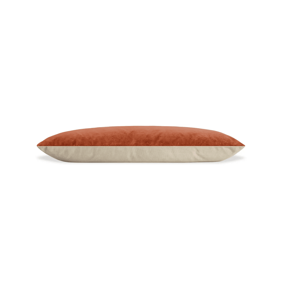 Signal Dog Bed