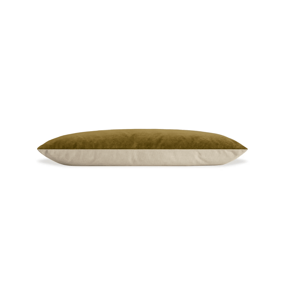Signal Dog Bed