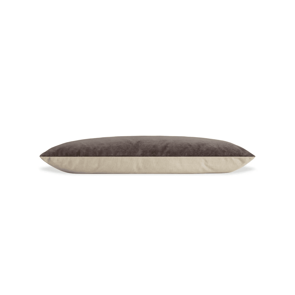 Signal Dog Bed