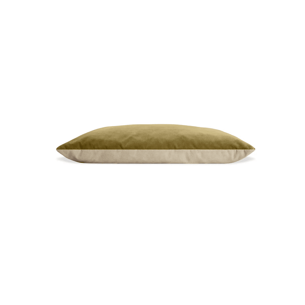 Signal Dog Bed