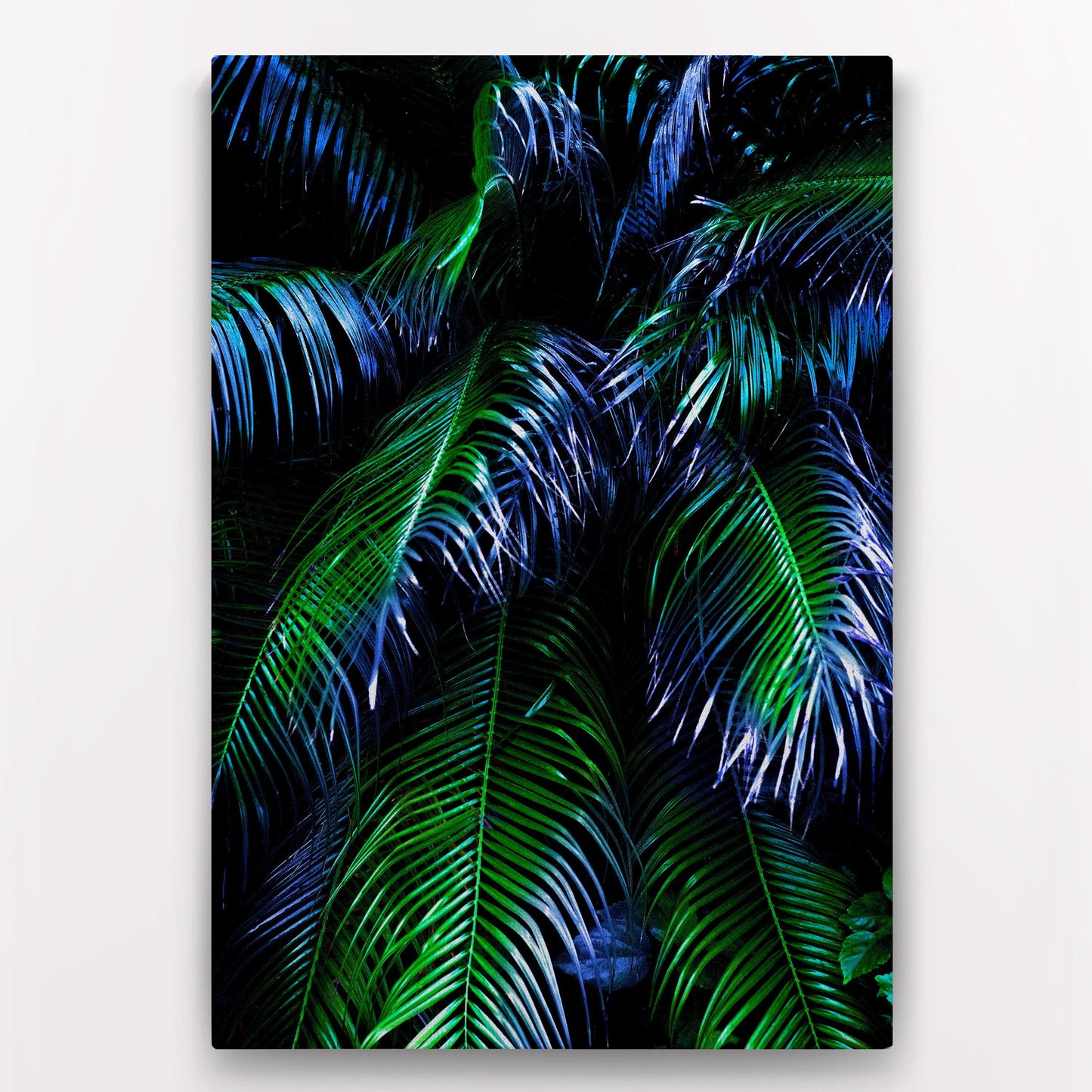 Tropical Palm Tree Foliage Leaves Canvas #C117