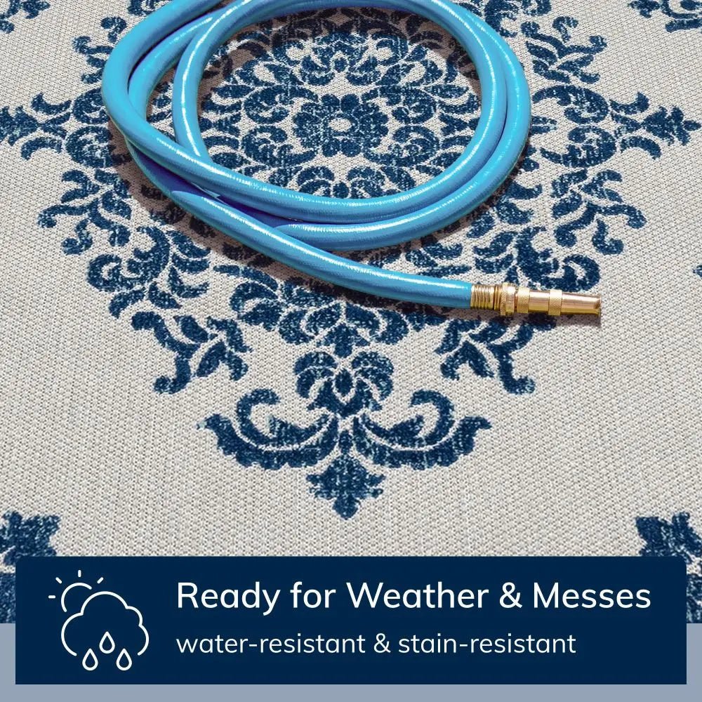 Arid Modern Medallion Persian Indoor/Outdoor Blue High-Low Rug