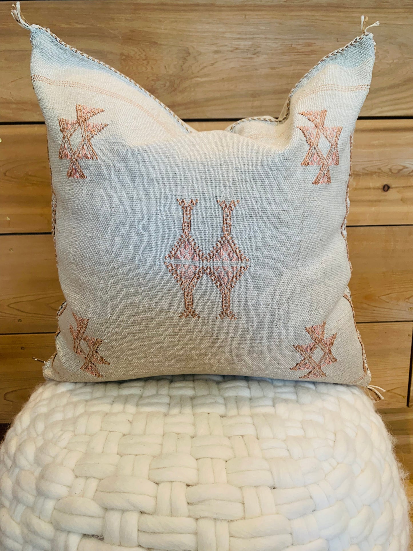Cactus Silk Pillows