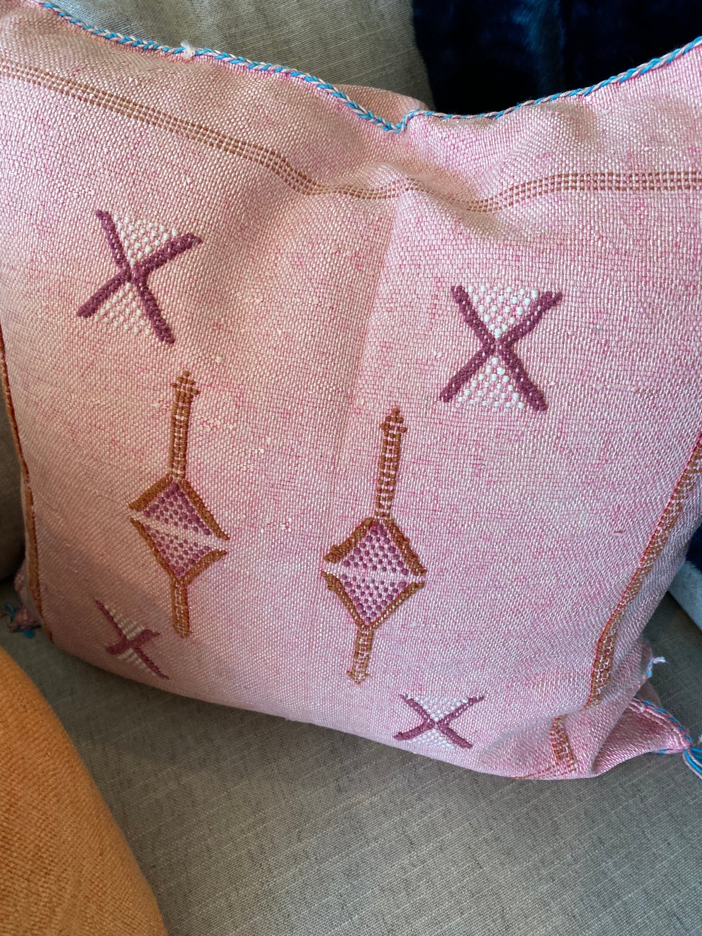Cactus Silk Pillows