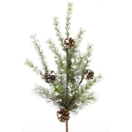 Snowdrop Mountain Pine Spray