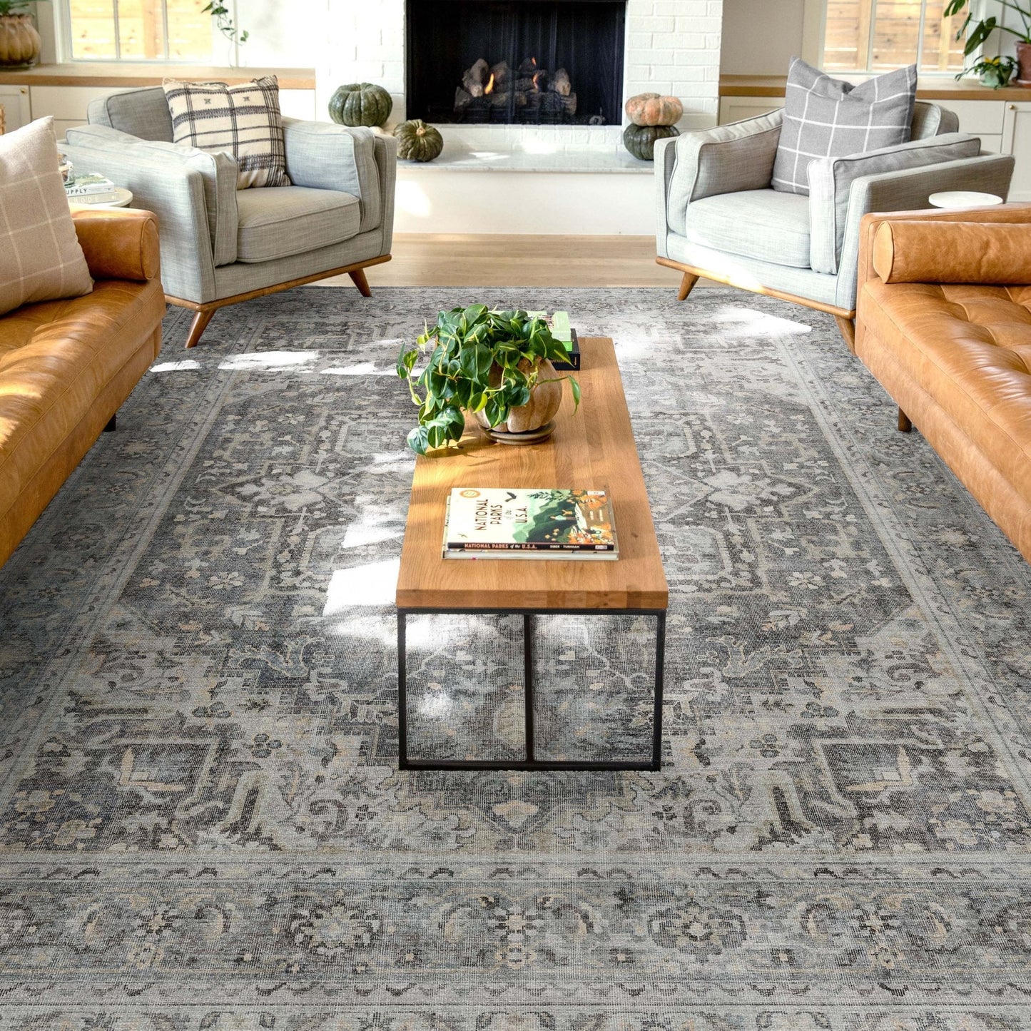 Tirana Vintage Medallion Oriental Flat-Weave Rug