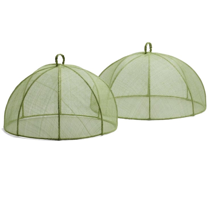 Blue Pheasant Rachel Food Covers Decor