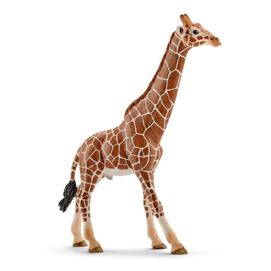 Schleich Giraffe (male)