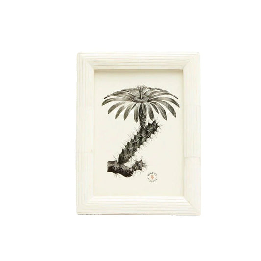 Pigeon & Poodle Velden Bone Picture Frame in Three Different Sizes - Picture Frames - The Well Appointed House