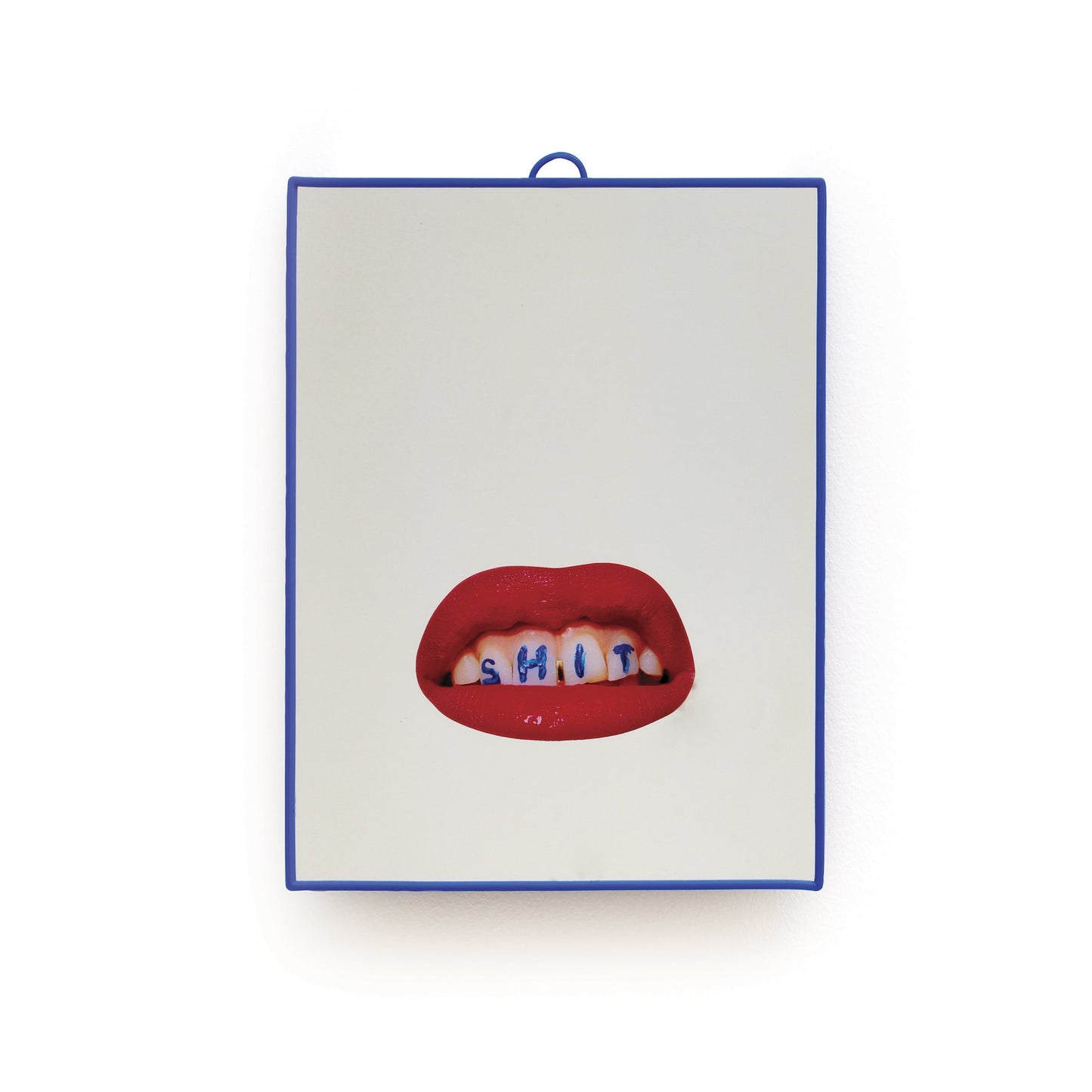 Toiletpaper Mirror